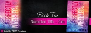 perfectly imperfect book tour